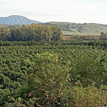 Los Dos Cedros San Pablo Екстериор снимка
